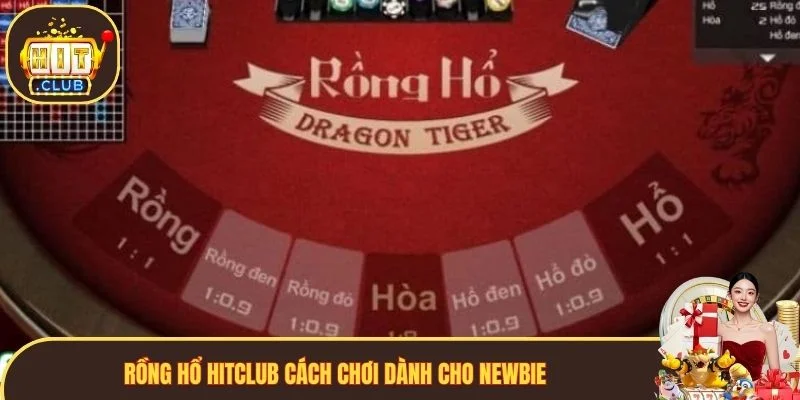 Rồng Hổ tại Hitclub cách chơi dành cho newbie